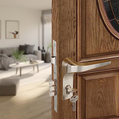 LAPO Premium Mortise Door Locks for Main Door | Door Lock for Bedroom Door | Door Lock Handle Set with Brass Lock Body Set with 3 Key | Main Door Locks for Home | Office | Hotel(Matt Finish,Ro-276)